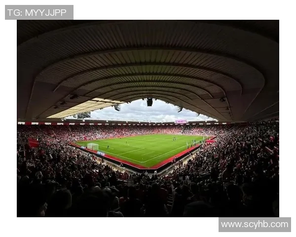 33号球星闪耀绿茵场 揭秘足球场上不可忽视的传奇力量 33号球星闪耀绿茵场 揭秘足球场上不可忽视的传奇力量