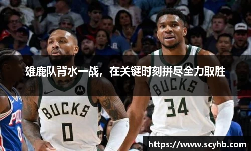 金年会体育