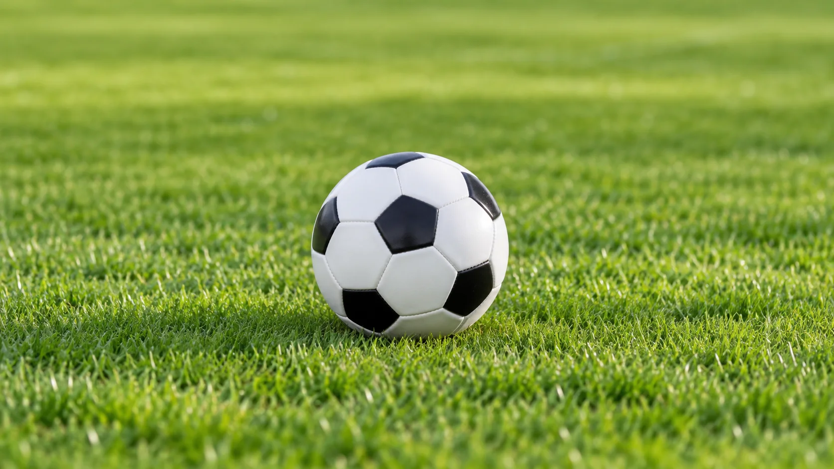 vsport体育